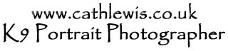 Cath Lewis k9 photograpy